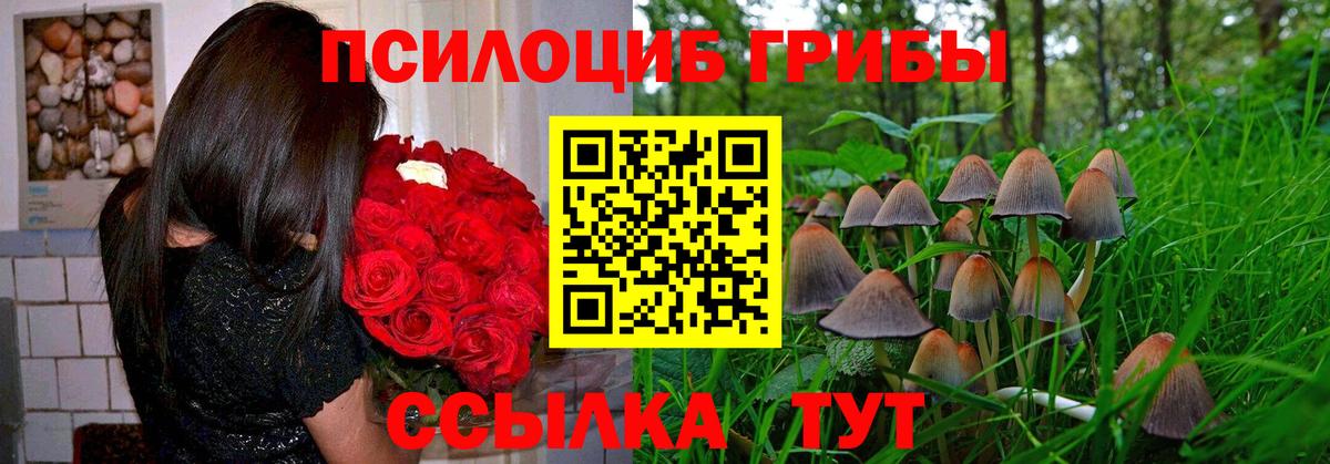 Галлюциногенные грибы ЛСД  Вход с VPN  Кузнецк 